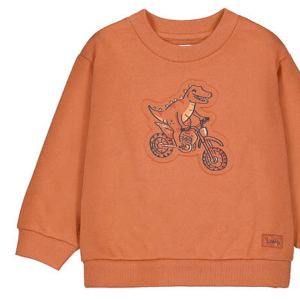 SUDADERA MINI NIÑO
