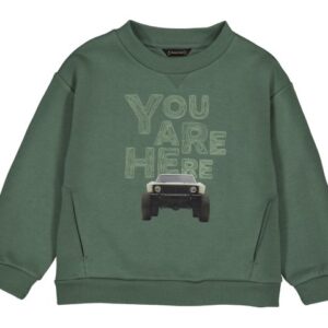 Sudadera niño mini.