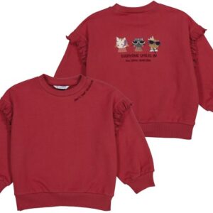 Sudadera niña mini.