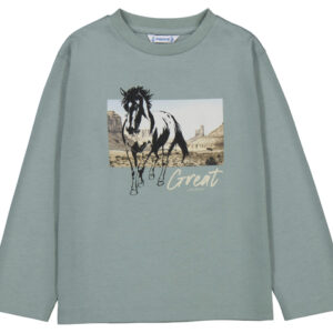 Camiseta niño mini.