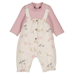 Conjunto newborn niña.