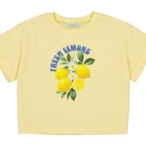 Camiseta junior niña.