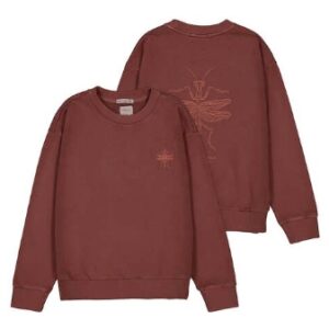 SUDADERA CHICO JUNIOR.
